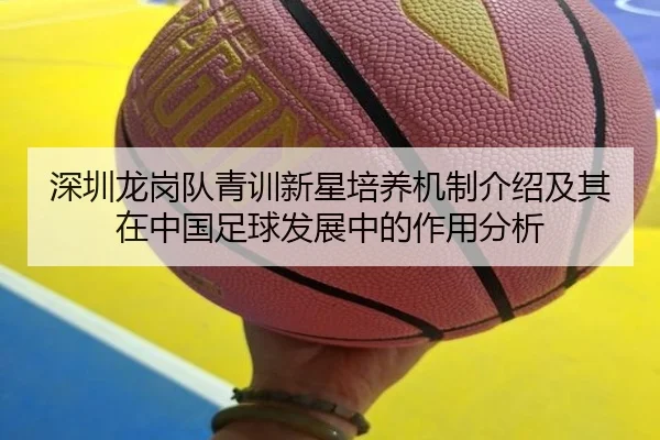 深圳龙岗队青训新星培养机制介绍及其在中国足球发展中的作用分析