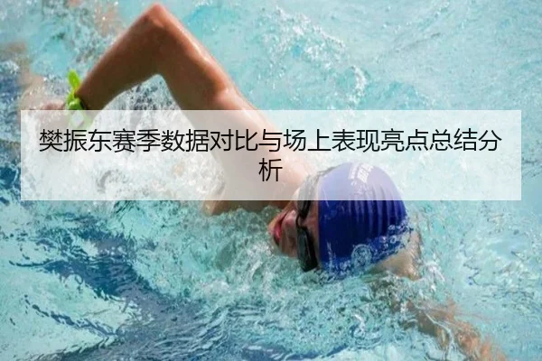 樊振东赛季数据对比与场上表现亮点总结分析