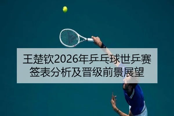 王楚钦2026年乒乓球世乒赛签表分析及晋级前景展望